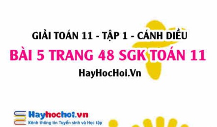 Giải bài 5 trang 48 Toán 11 tập 1 SGK Cánh Diều